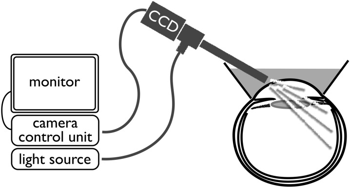 Fig. 2