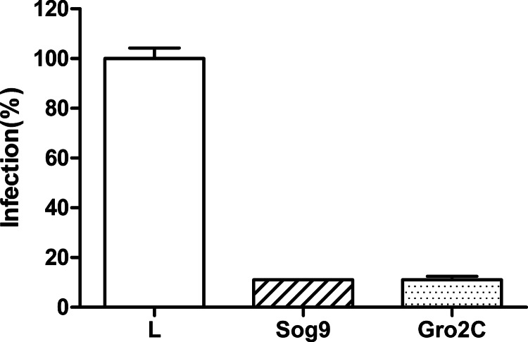 FIG 2