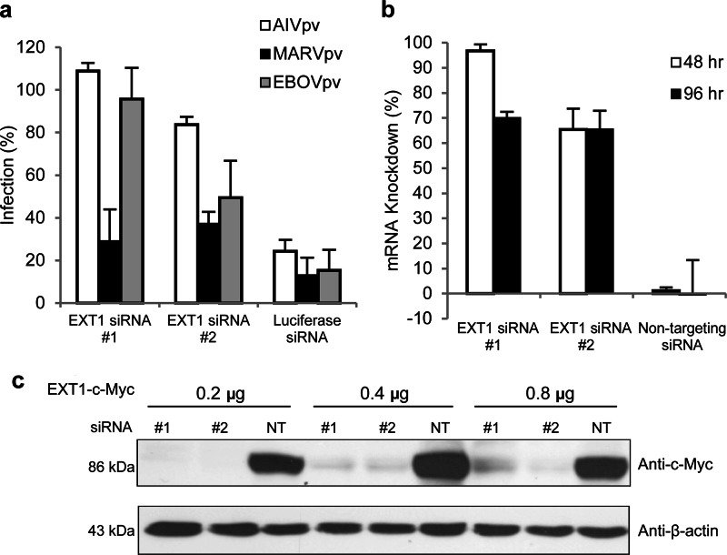 FIG 1