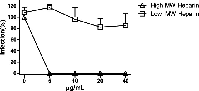 FIG 6