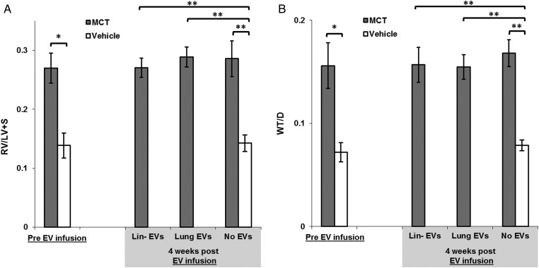 Figure 5