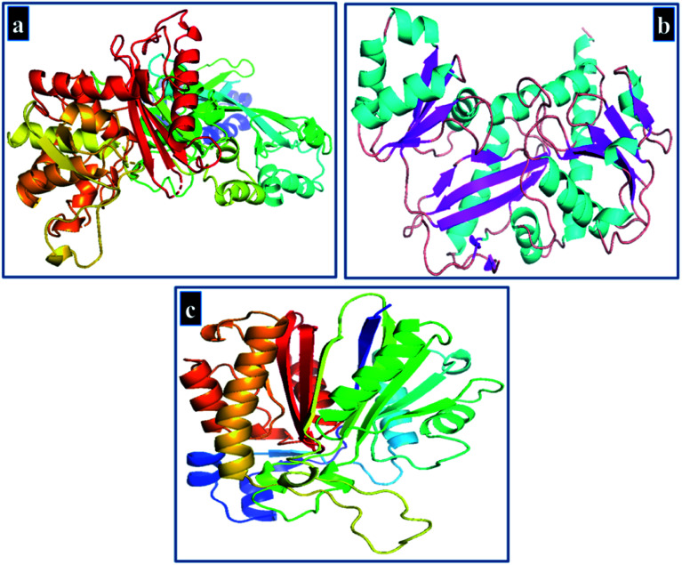 Fig. 3