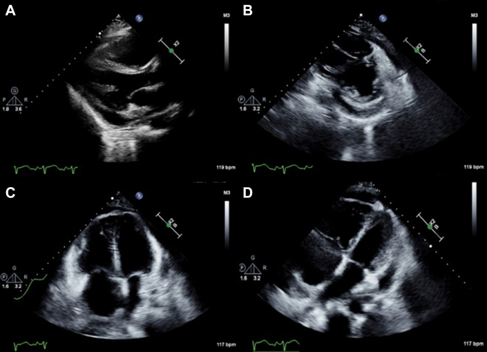 Figure 3