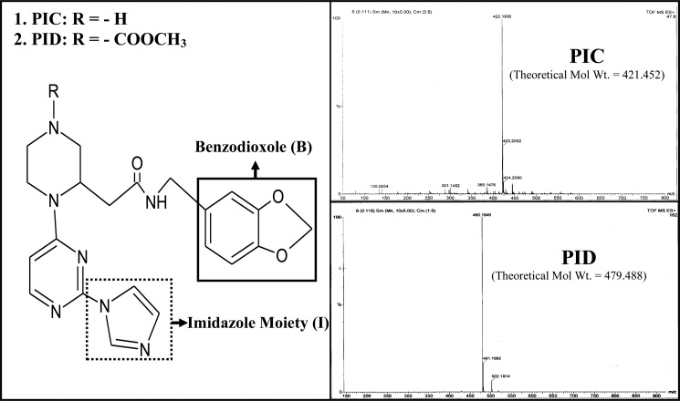 FIGURE 1.