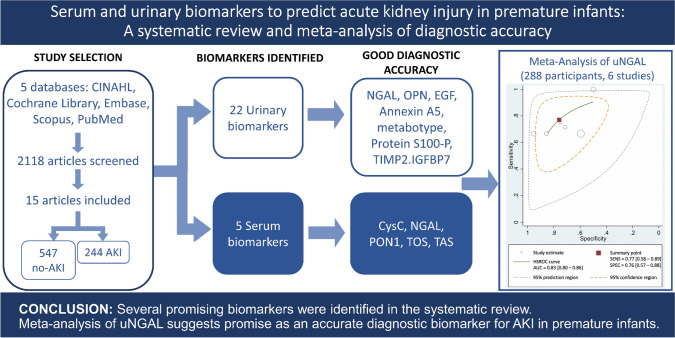 graphic file with name 40620_2022_1307_Figa_HTML.jpg