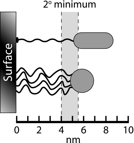 FIG. 5.