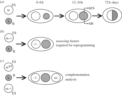 Figure 1.