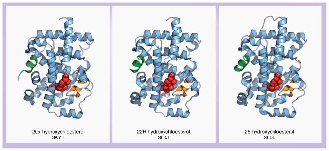 Figure 6