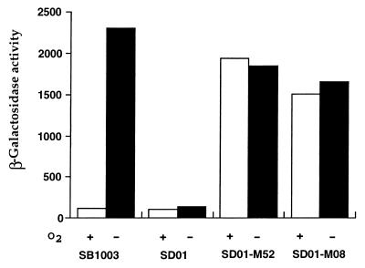 FIG. 7