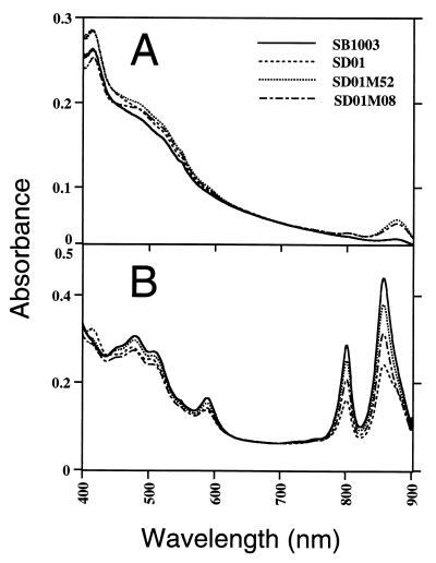 FIG. 6