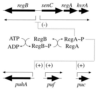 FIG. 8