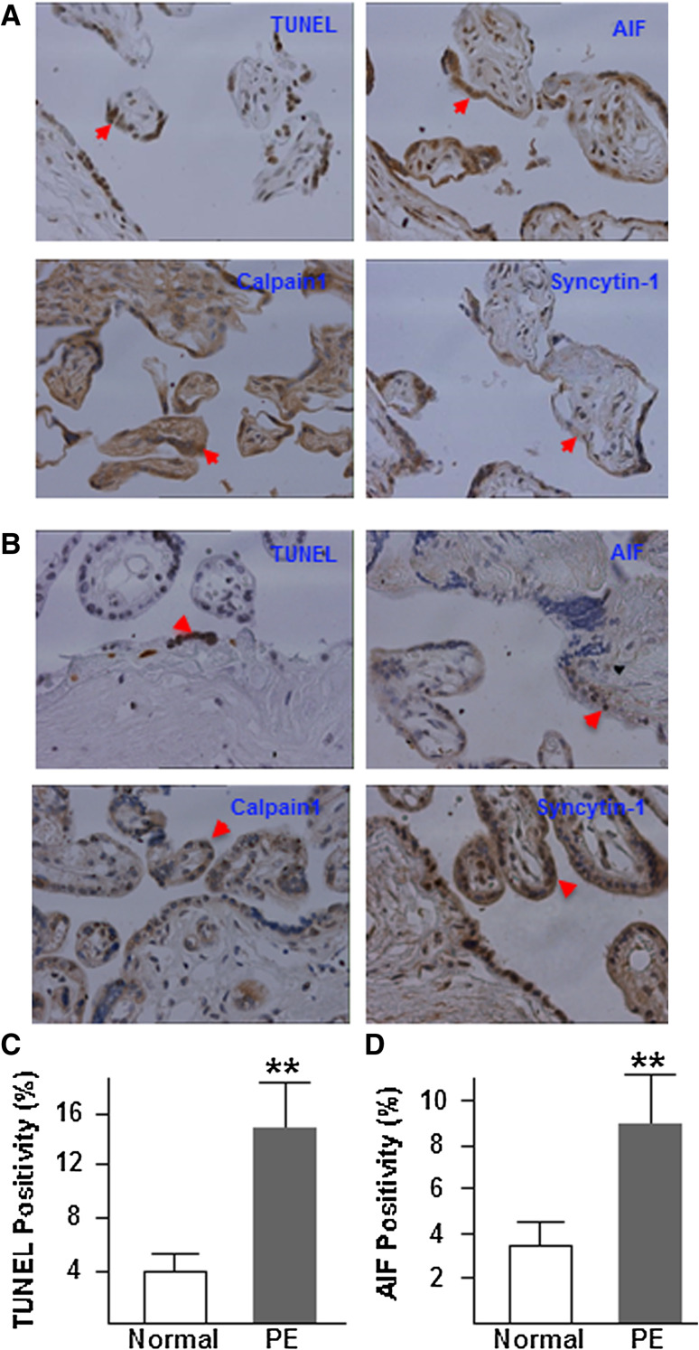 Fig. 8