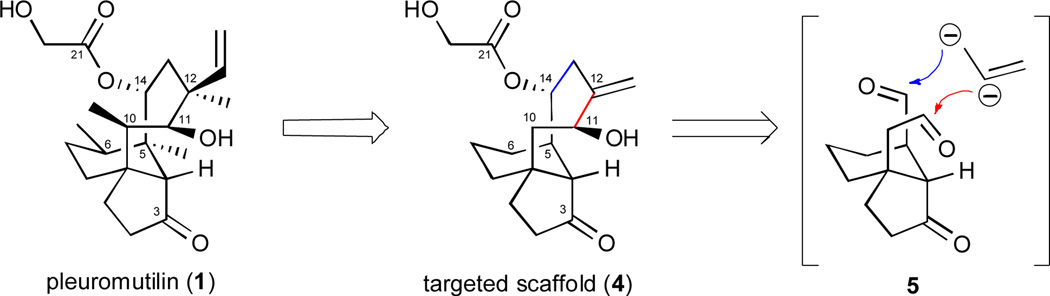 Scheme 1