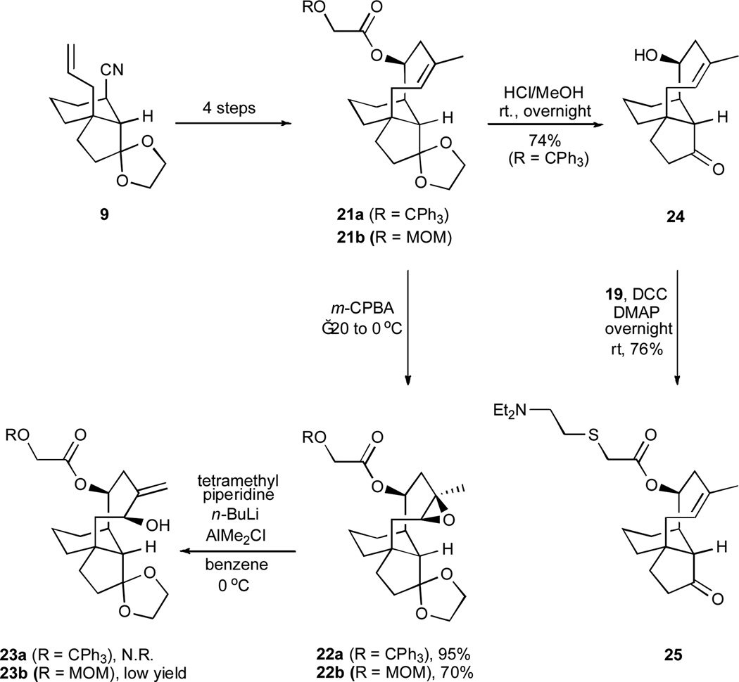 Scheme 6