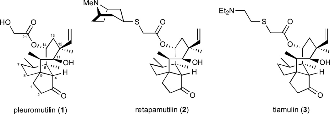 Fig. 1