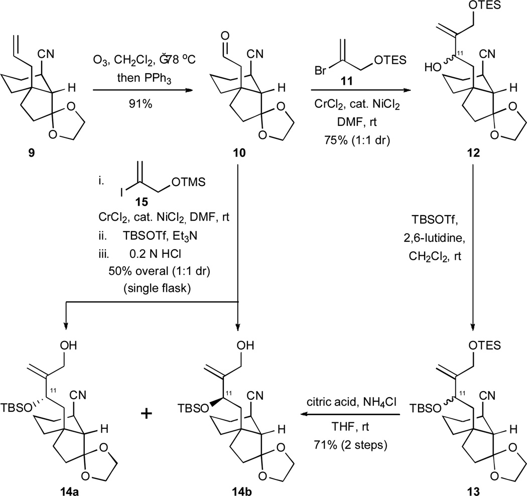 Scheme 3