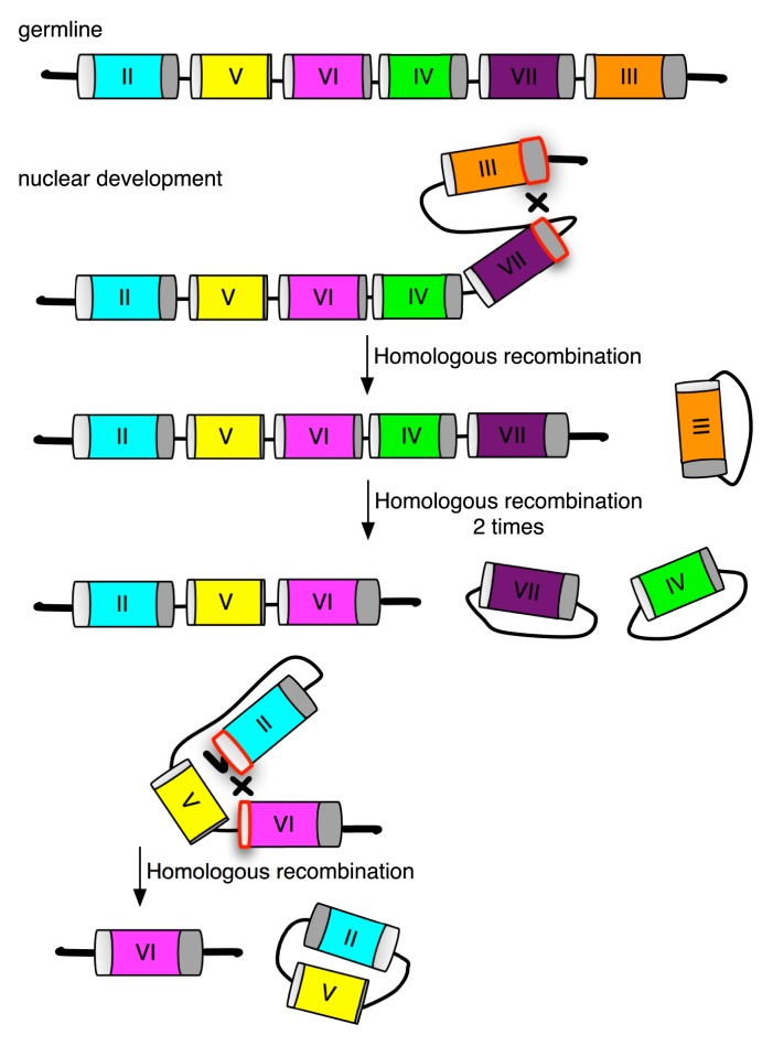 Figure 7