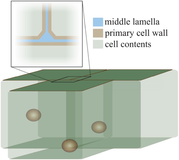 FIGURE 1