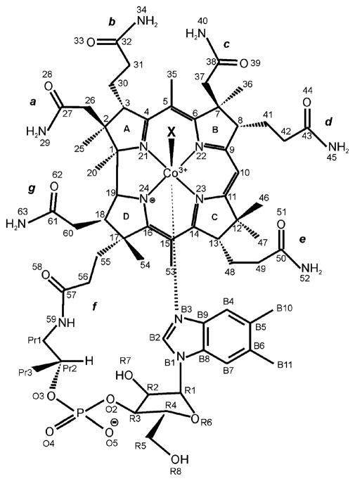 Fig. 1