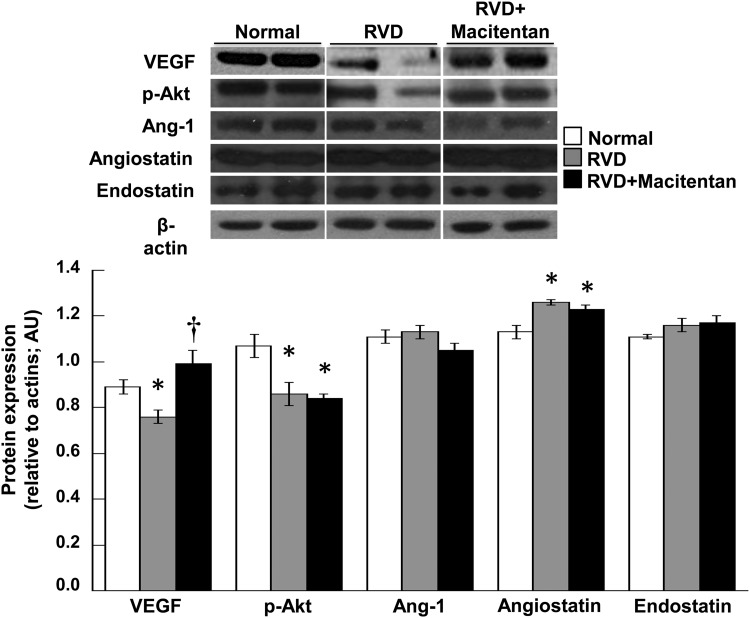 FIGURE 2: