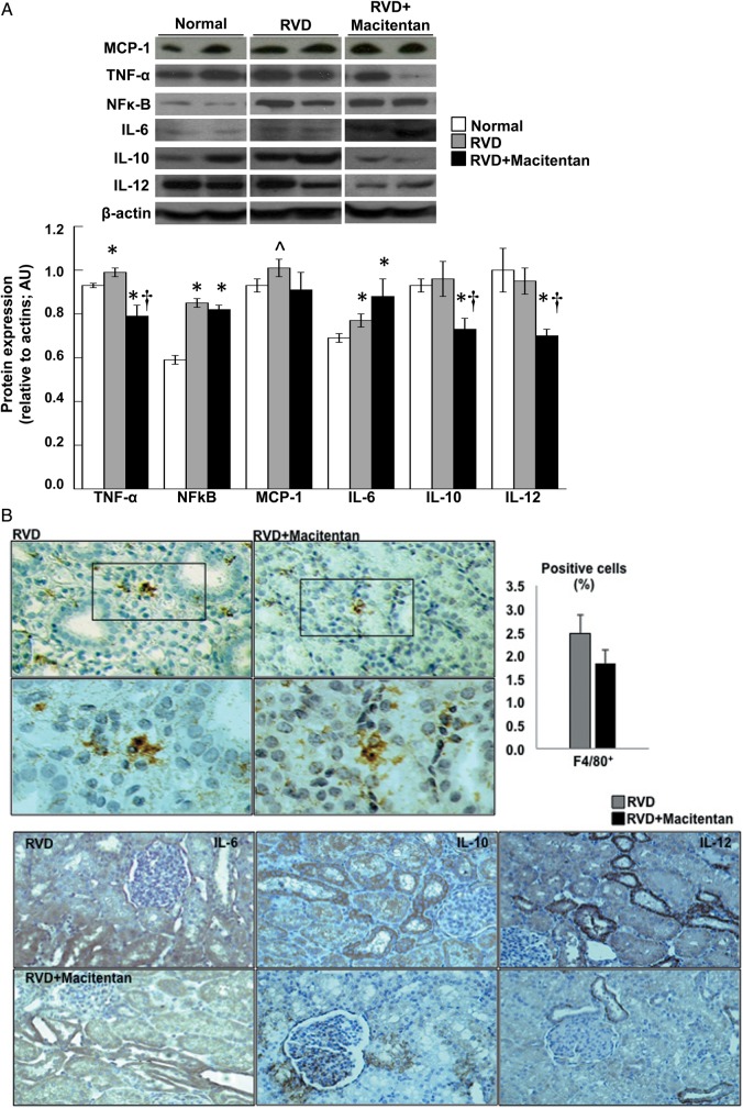 FIGURE 3: