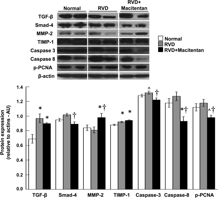 FIGURE 4: