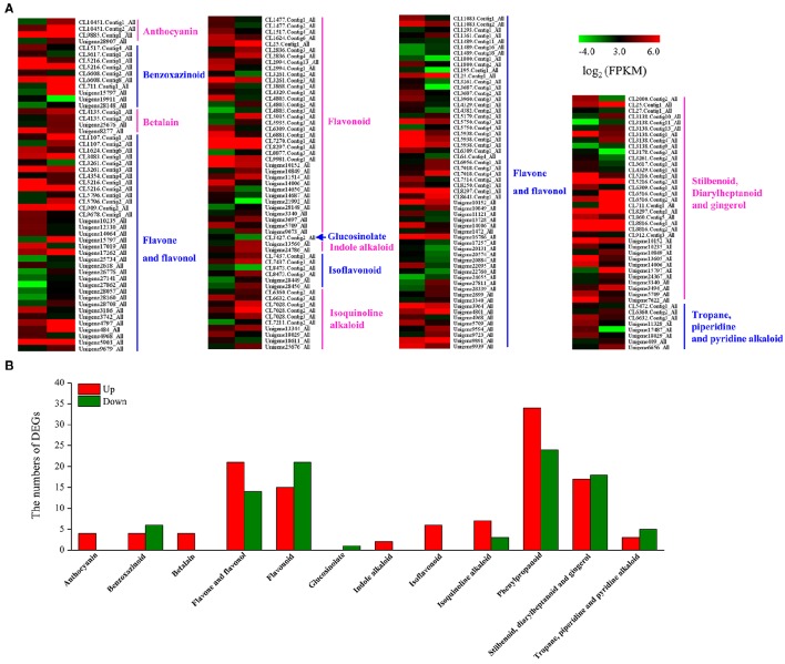 Figure 6