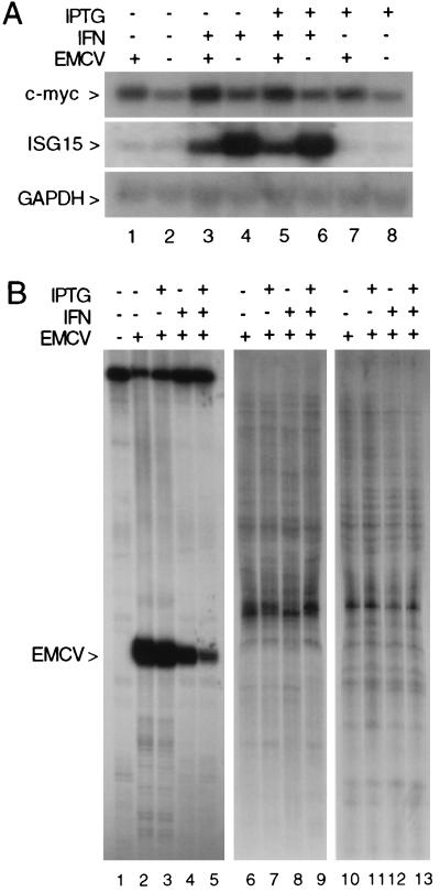 FIG. 5