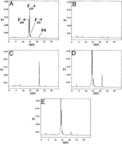 Fig. 3.