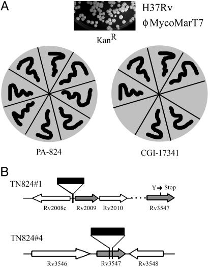 Fig. 4.