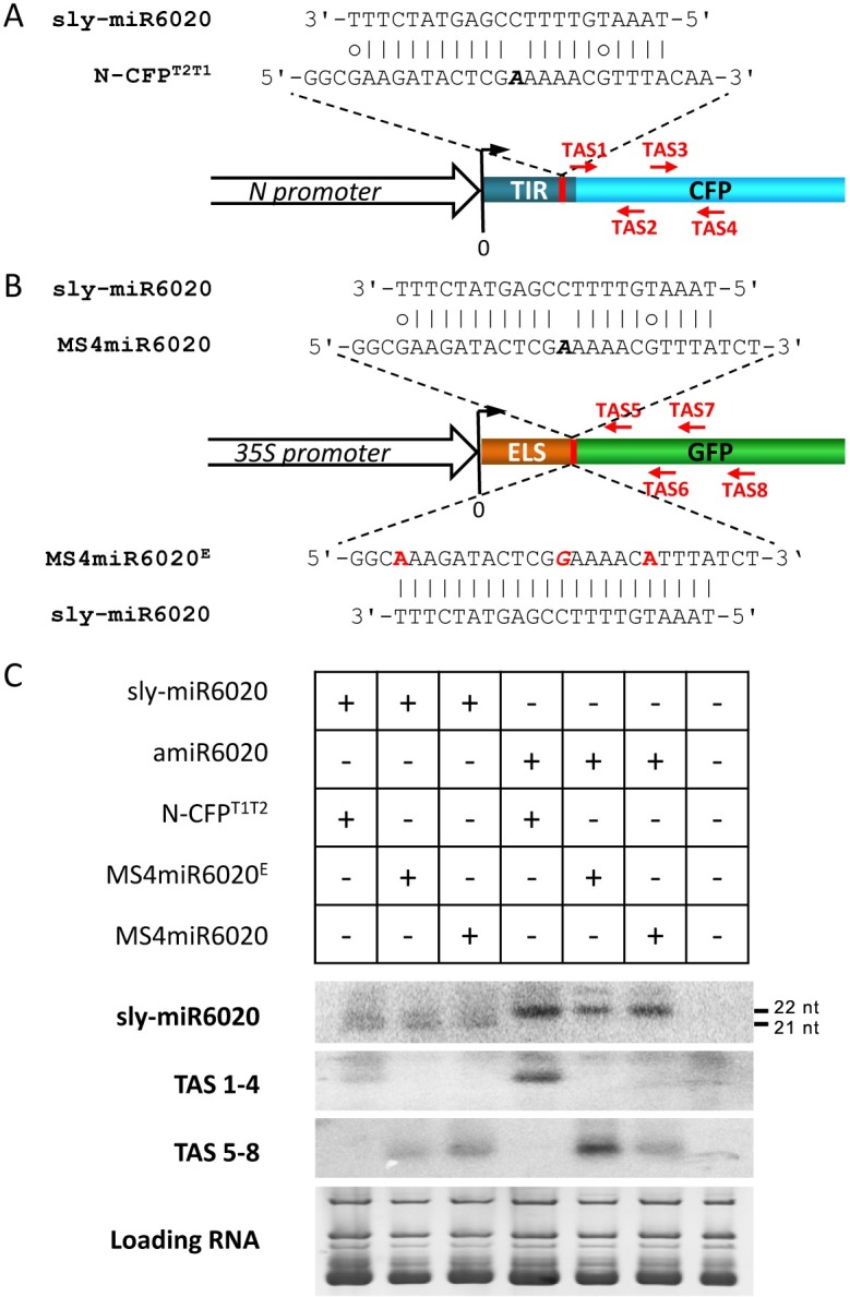 Fig 8