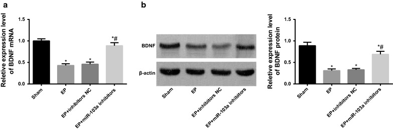 Fig. 6