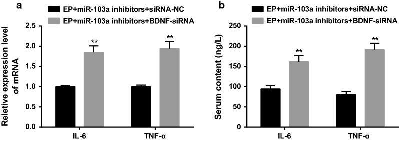 Fig. 9