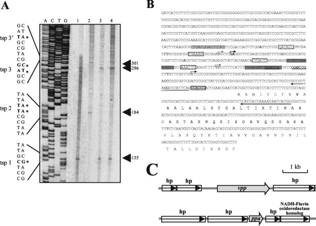 FIG. 6.