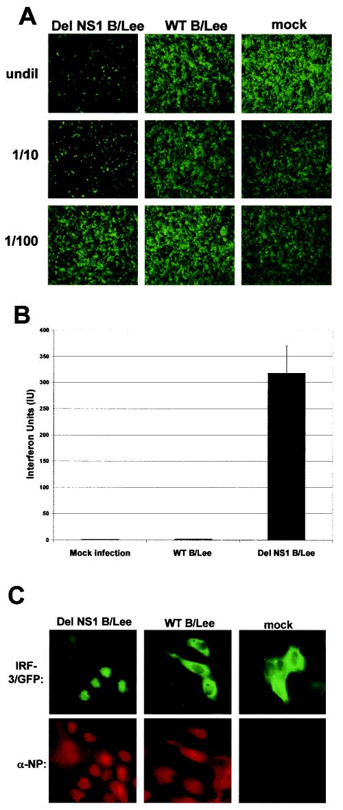 FIG. 4.