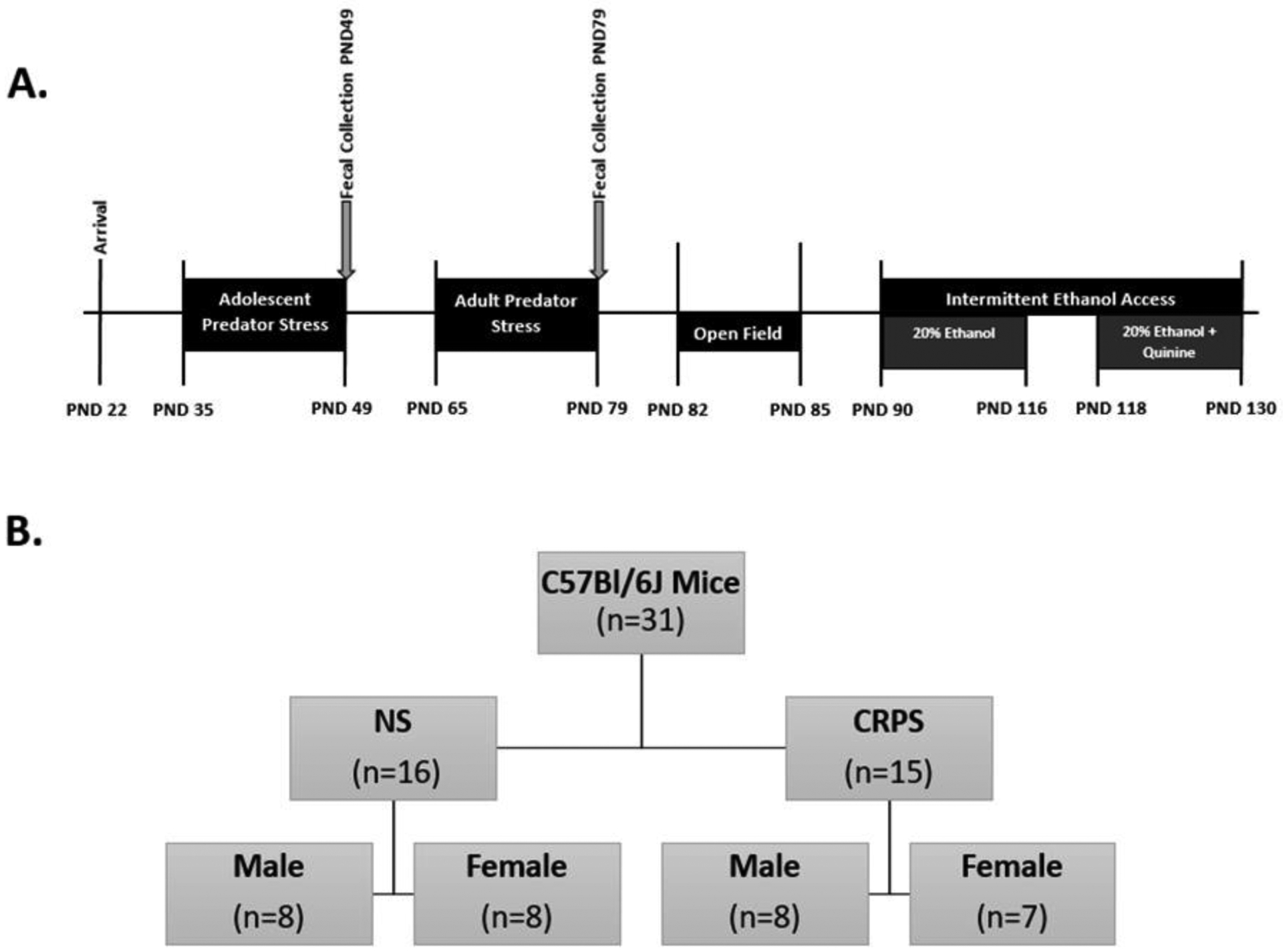 Figure 1: