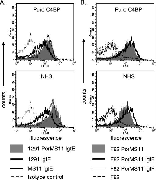 FIG. 3.