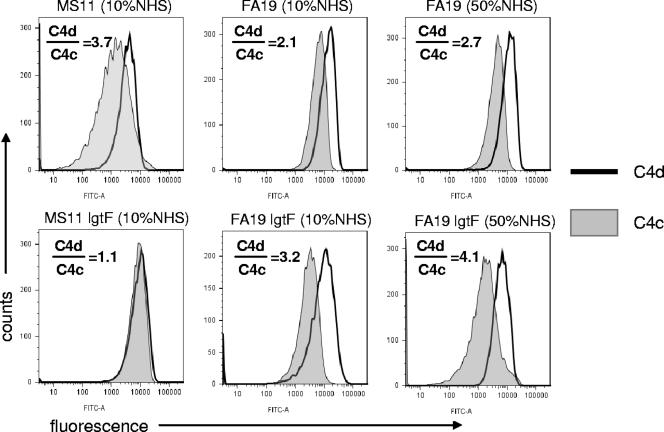 FIG. 6.