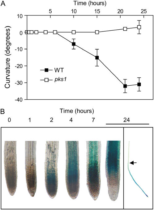 Figure 3.