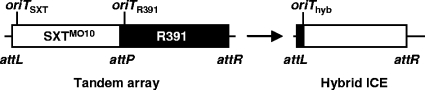 FIG. 7.