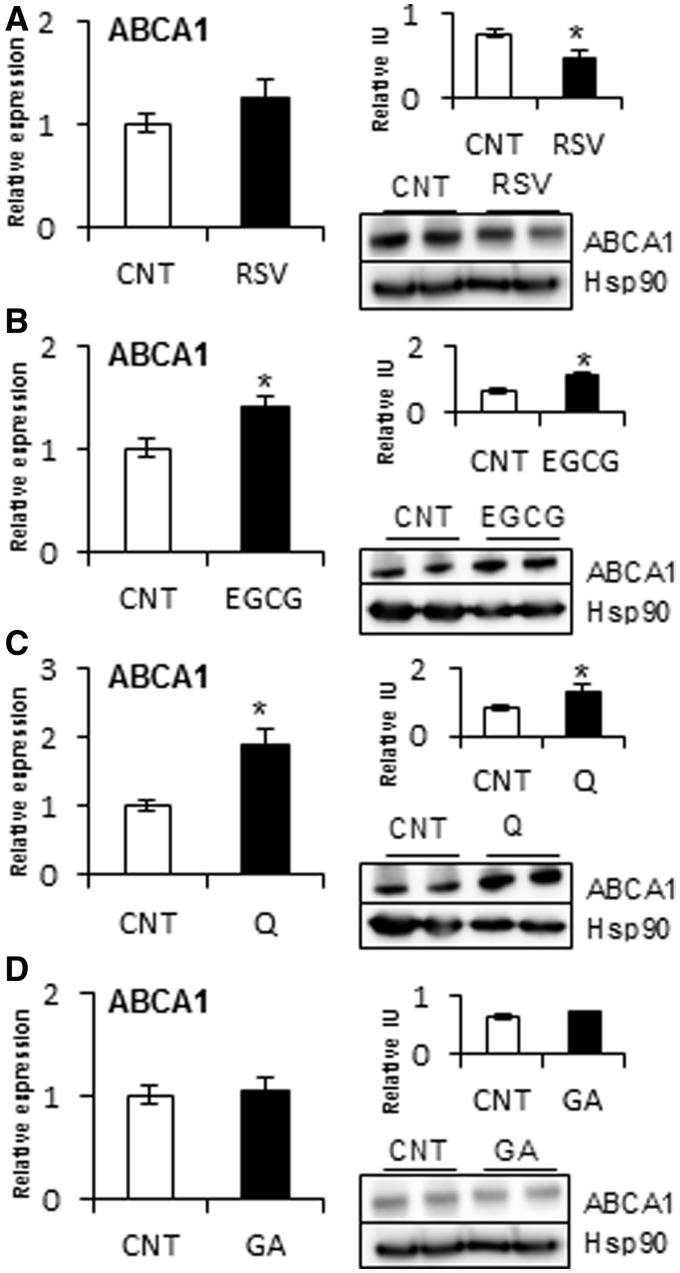 Figure 5.