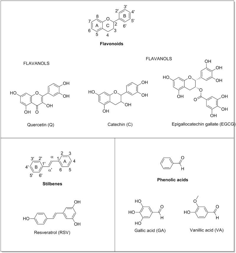 Figure 1.