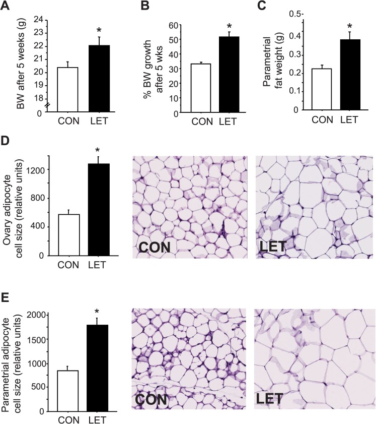 FIG. 7