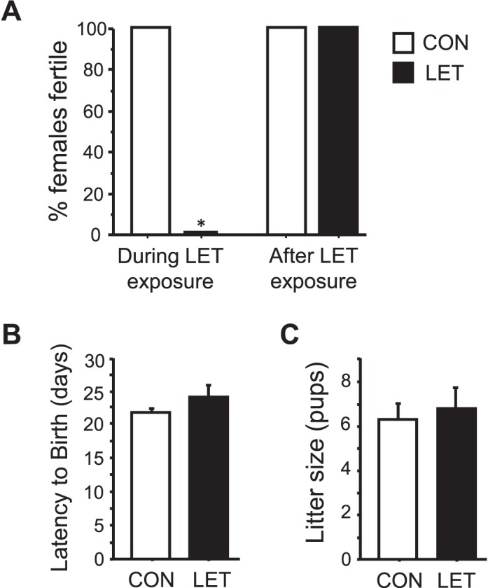 FIG. 6