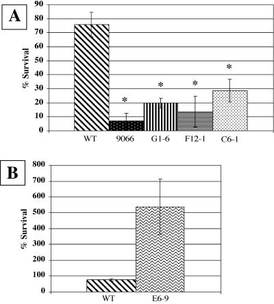 FIG. 5.