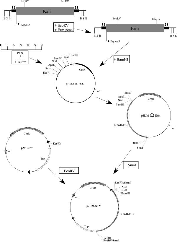 FIG. 1.