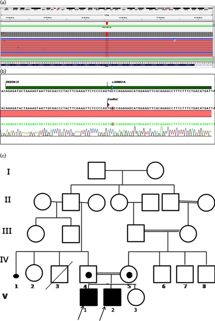 Fig. 3.