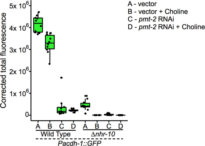 Figure 5—figure supplement 6.