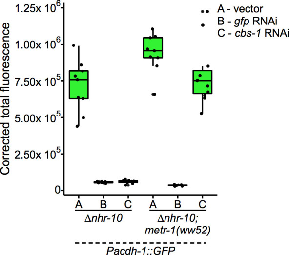 Figure 5—figure supplement 2.