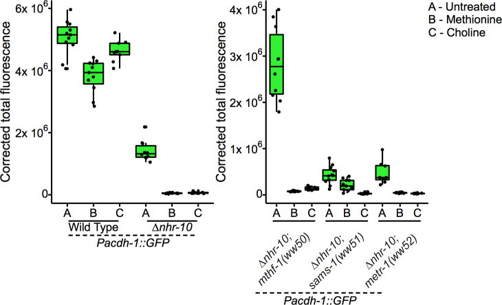 Figure 5—figure supplement 3.